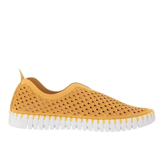 Tulip Retro Plimsoll Style  